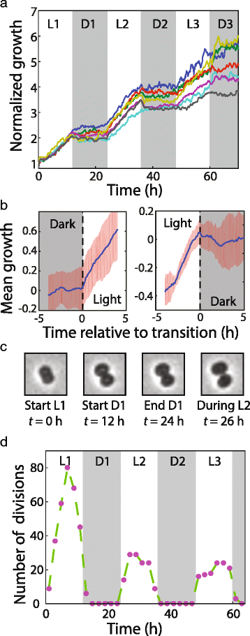 Fig. 3