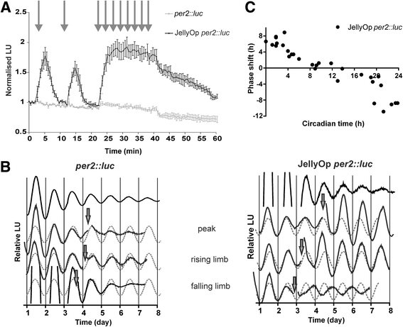 Fig. 2