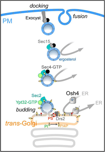 Fig. 2.