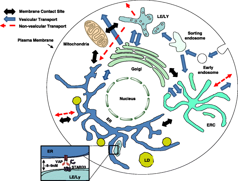 Fig. 6.