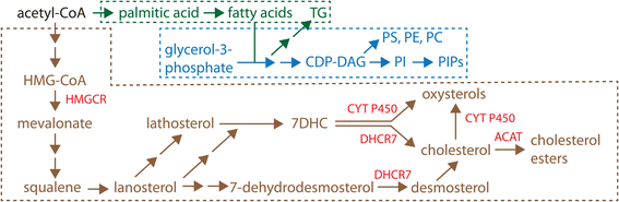 Fig. 2