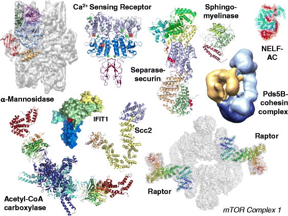 Fig. 2.