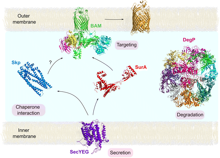 Fig. 4