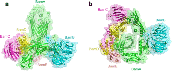 Fig. 6