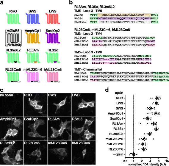 Fig. 2