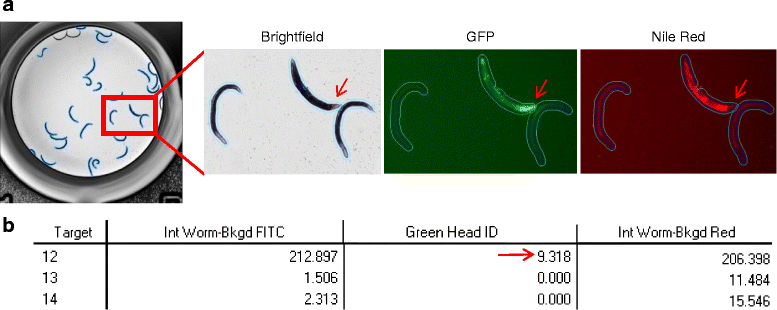 Fig. 6