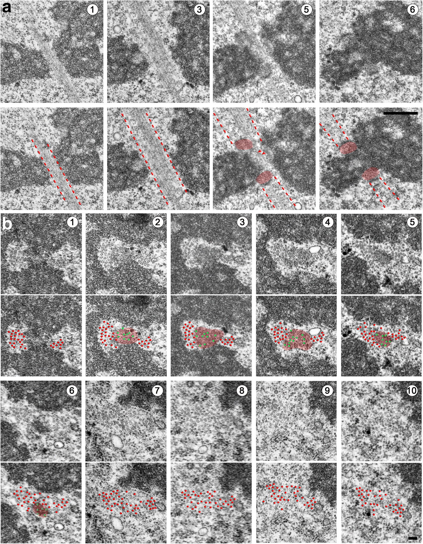 Fig. 8