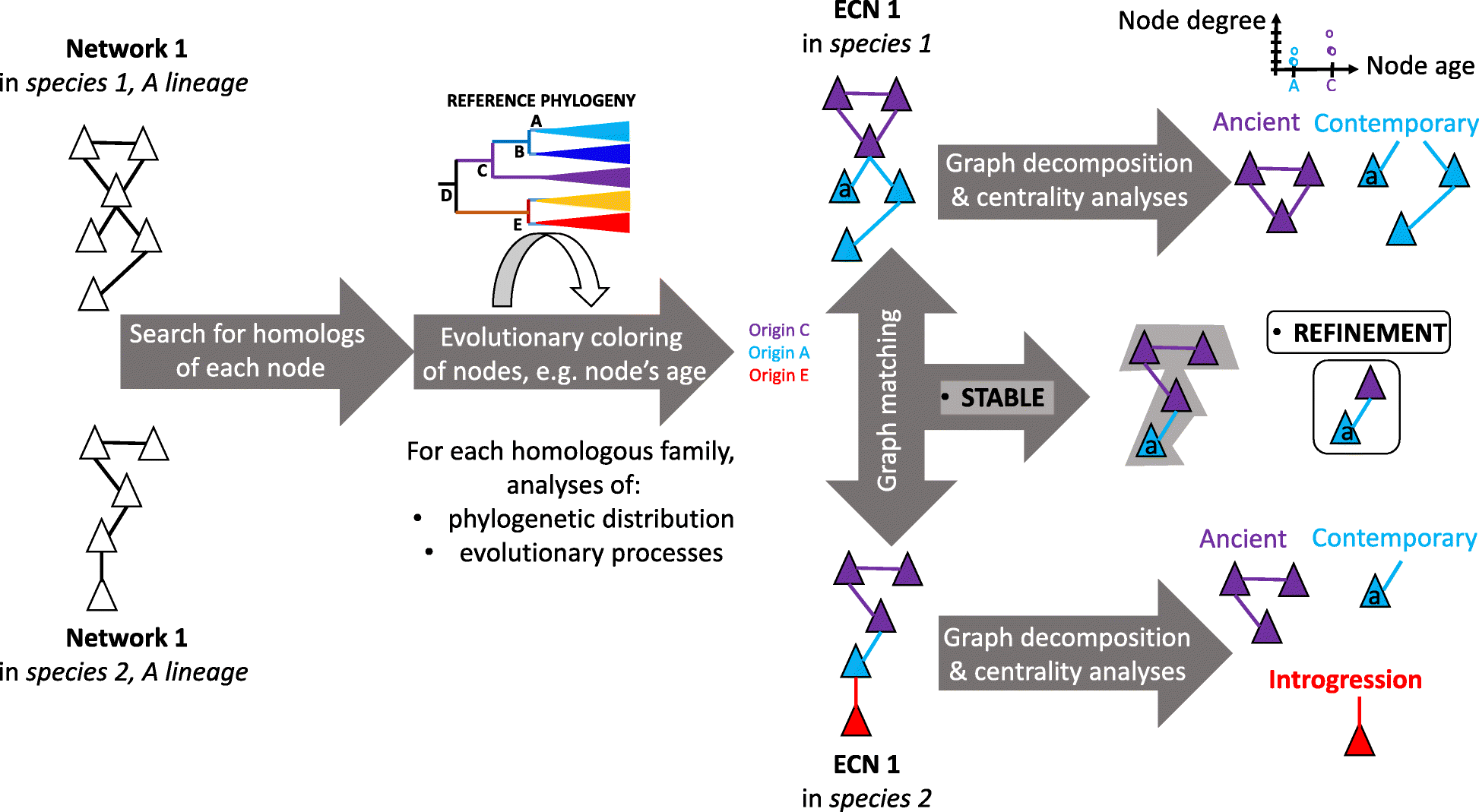 Fig. 5.