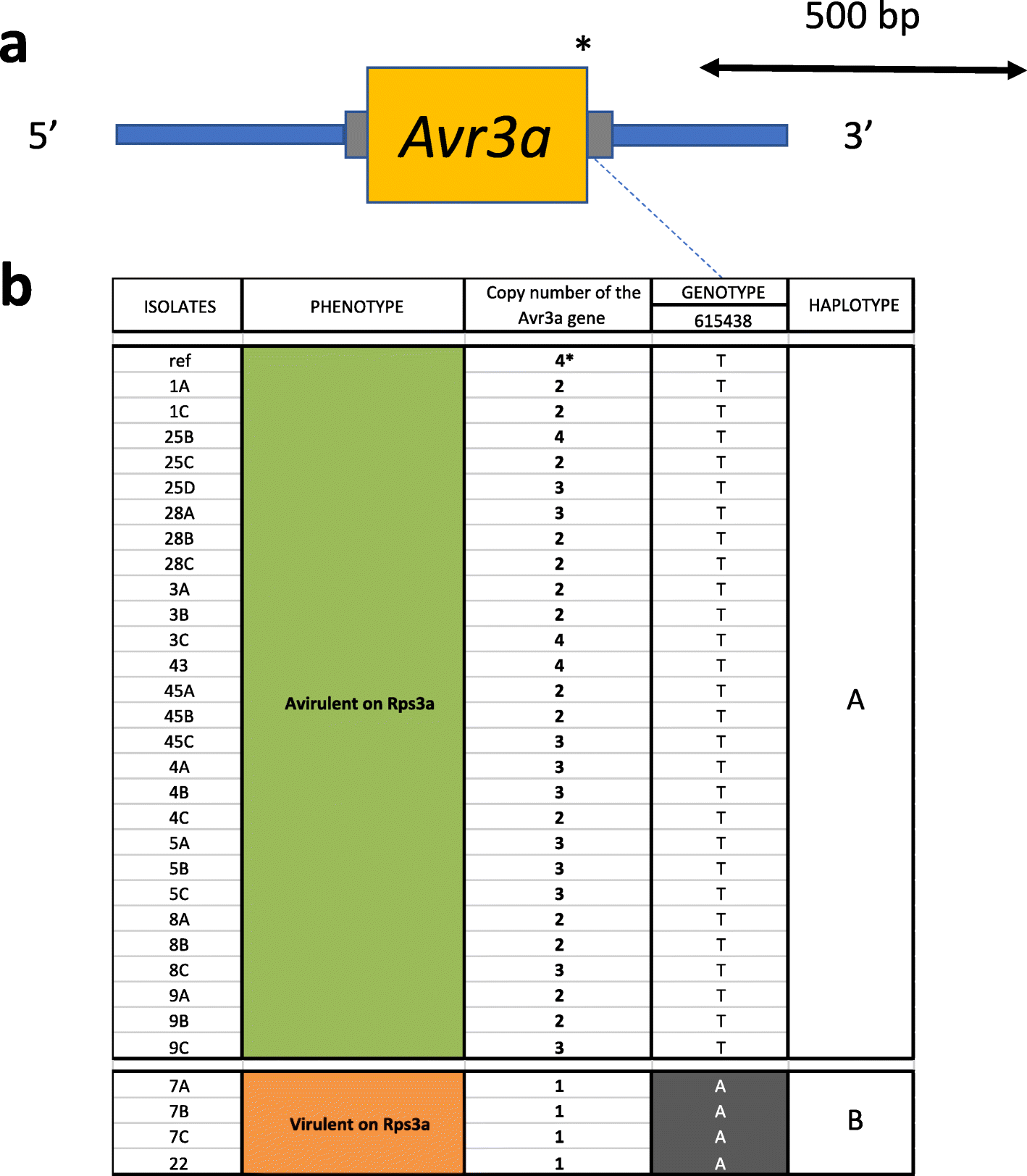 Fig. 8