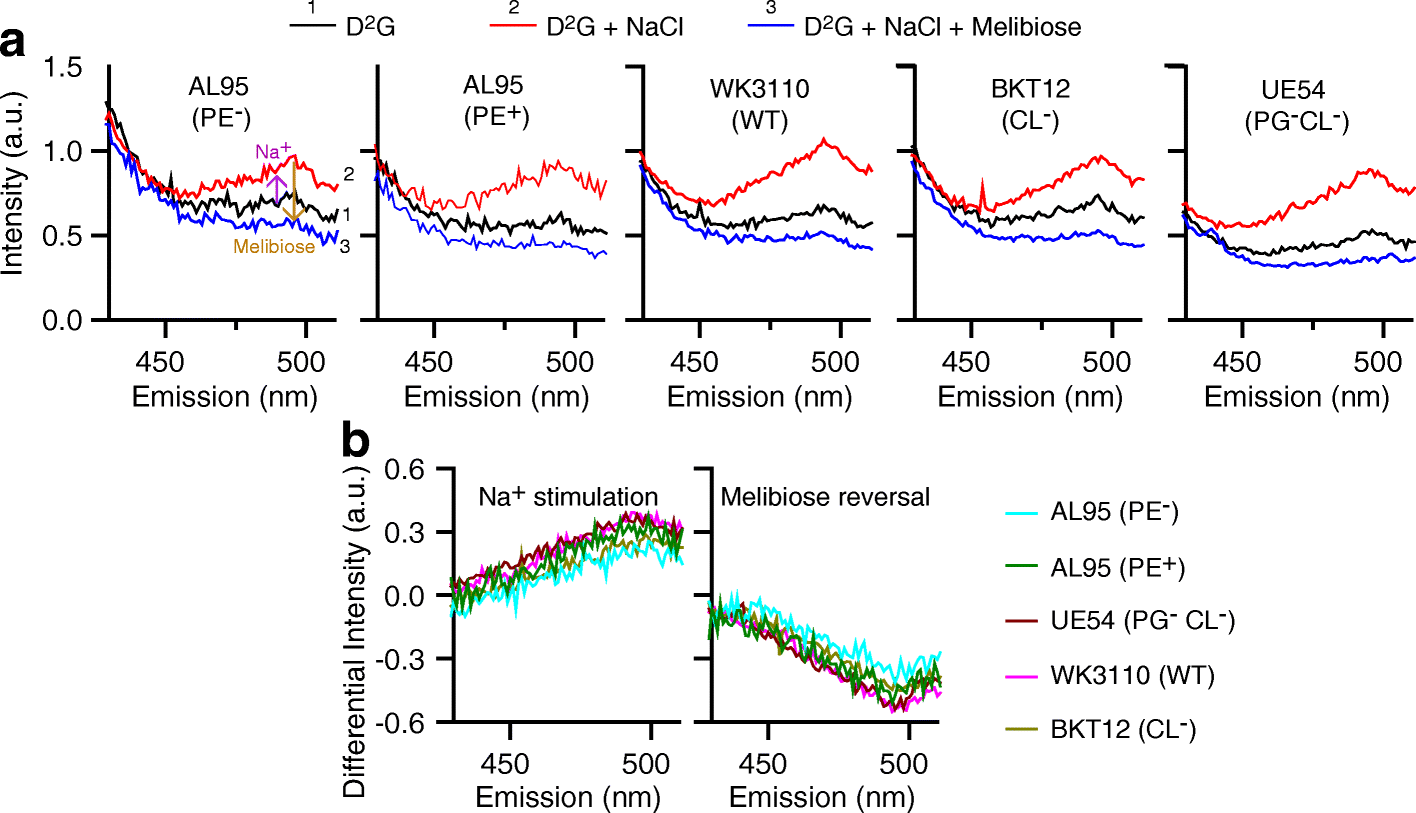 Fig. 3