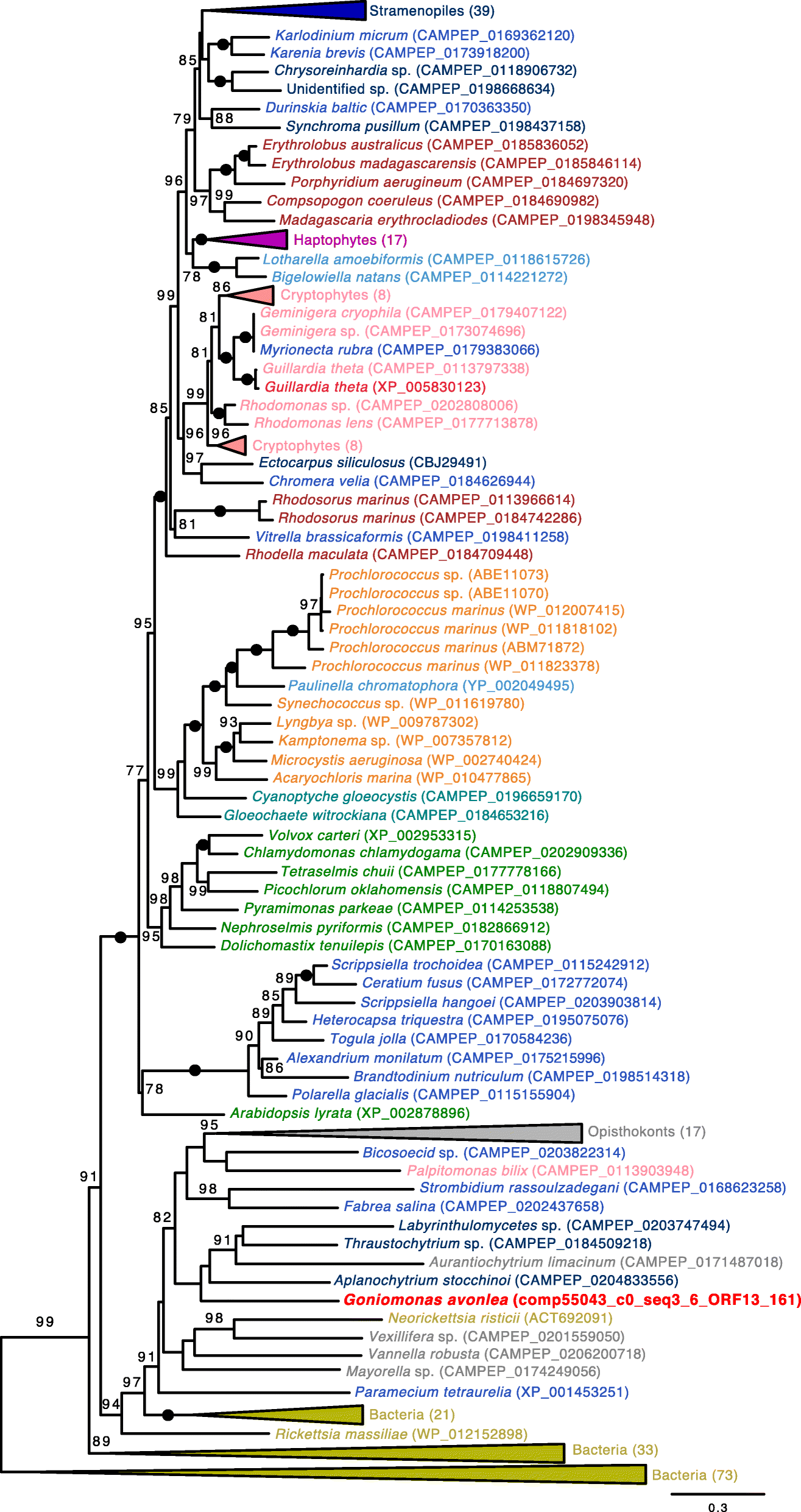 Fig. 3