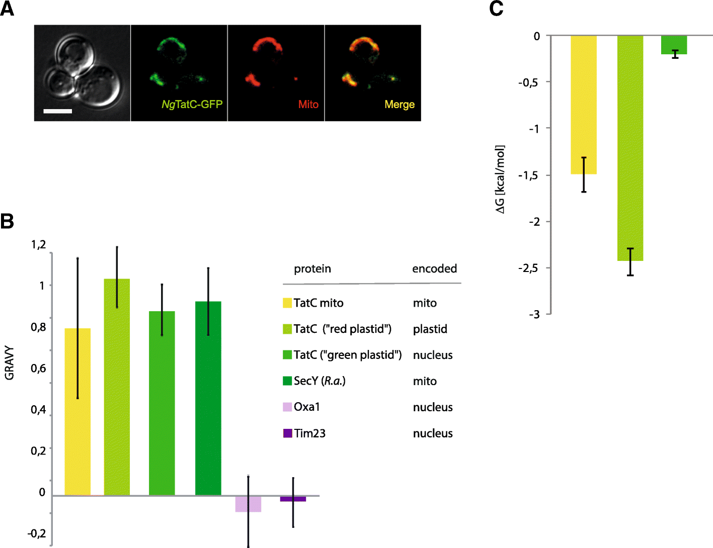 Fig. 5