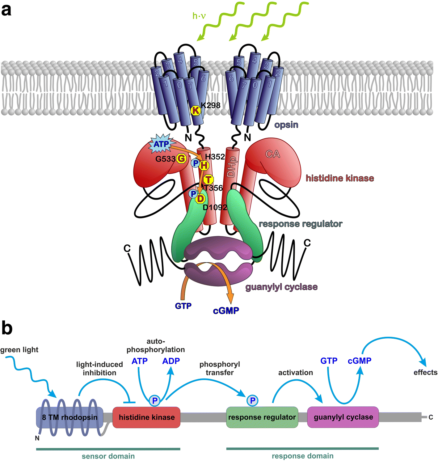 Fig. 6