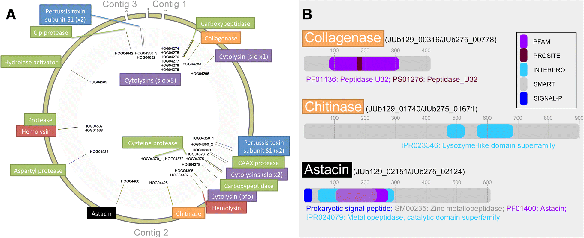 Fig. 6