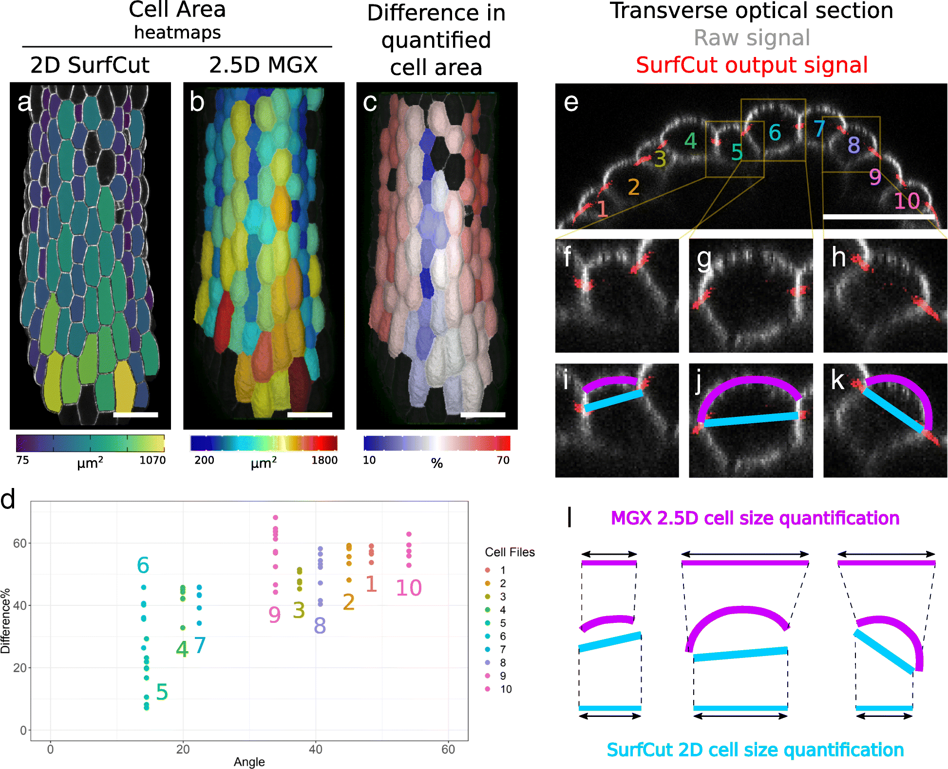 Fig. 6