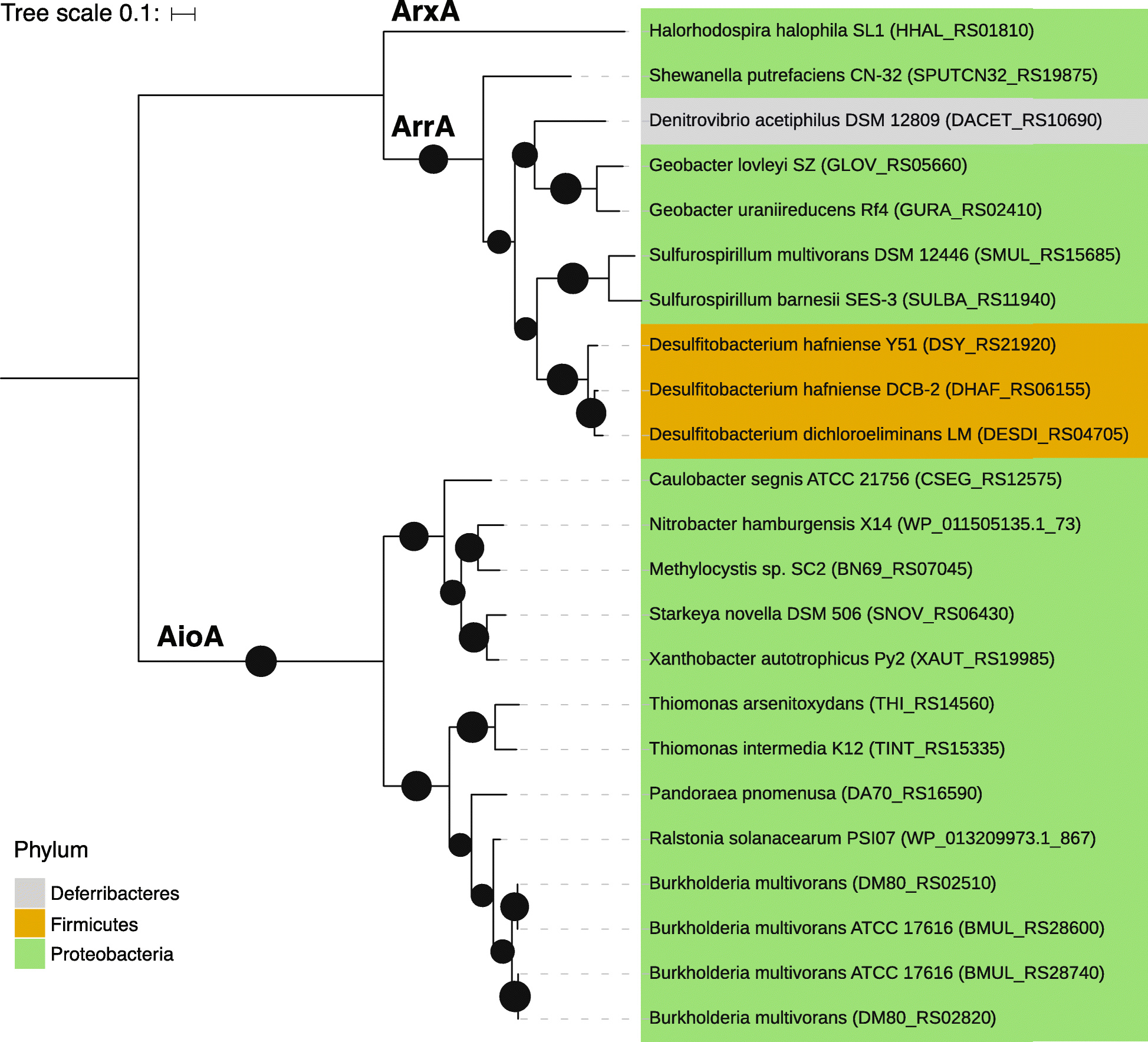 Fig. 6