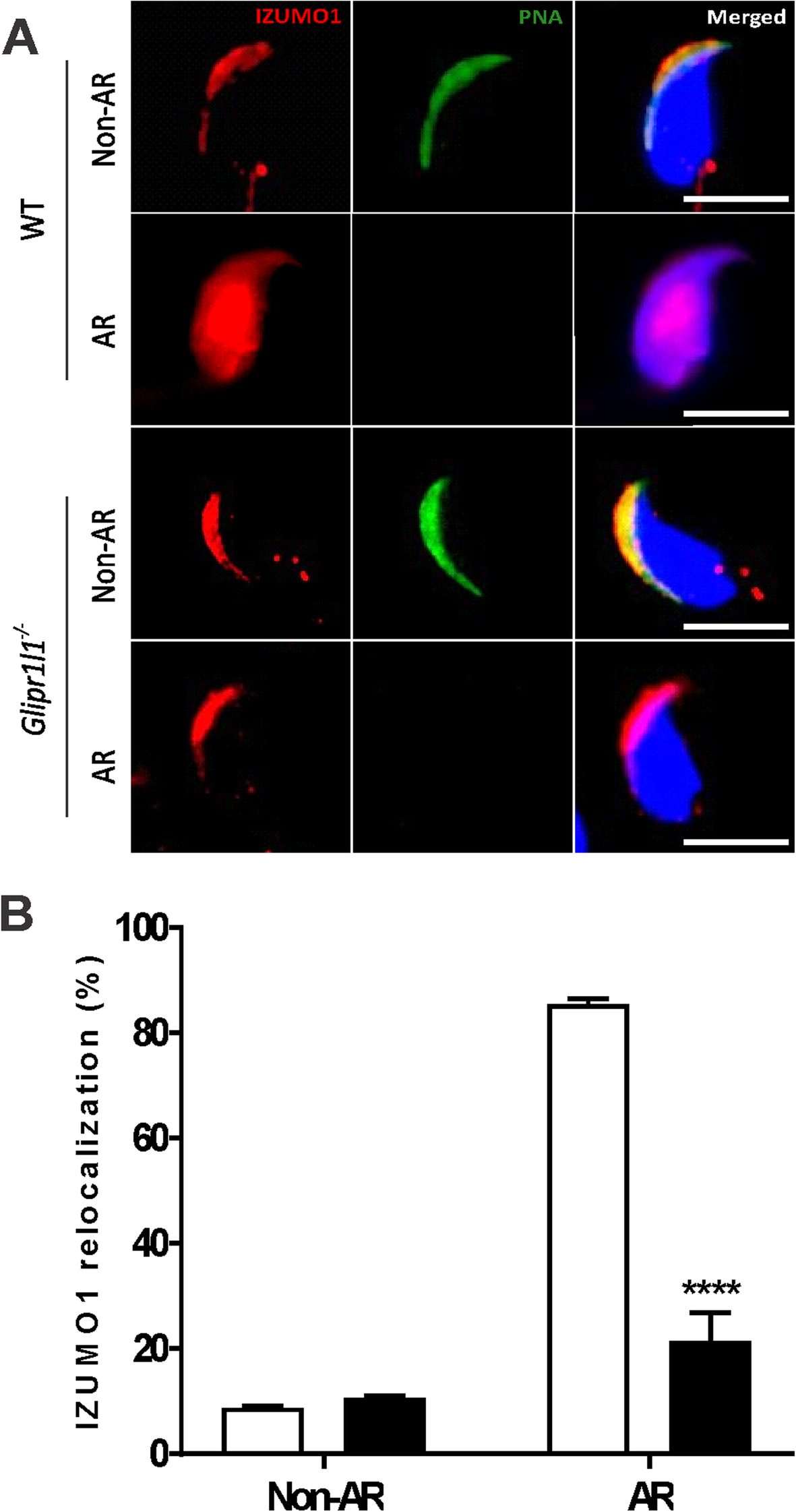 Fig. 10