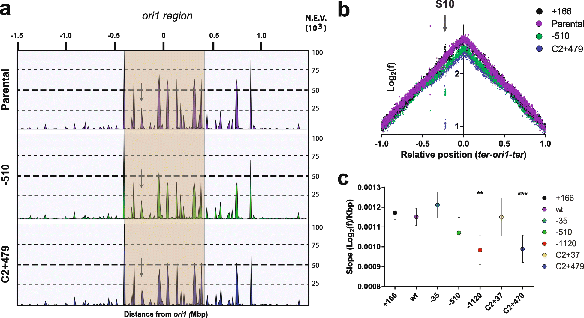 Fig. 3