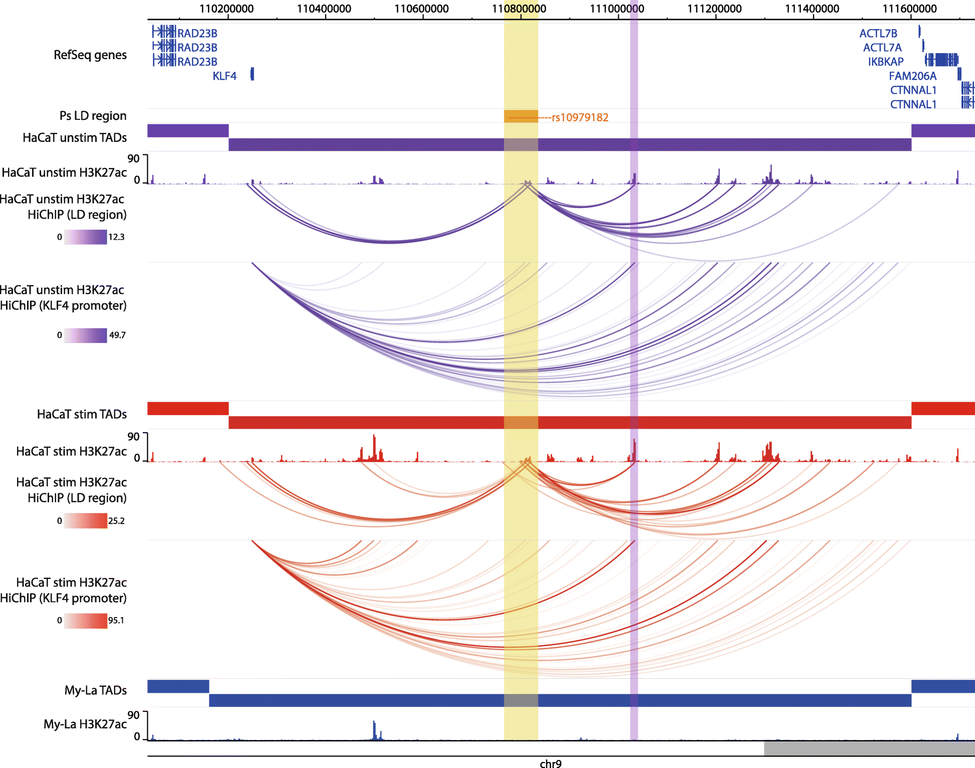 Fig. 5