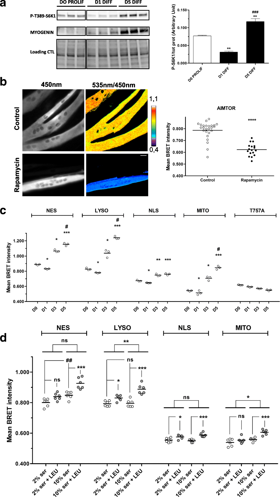 Fig. 5