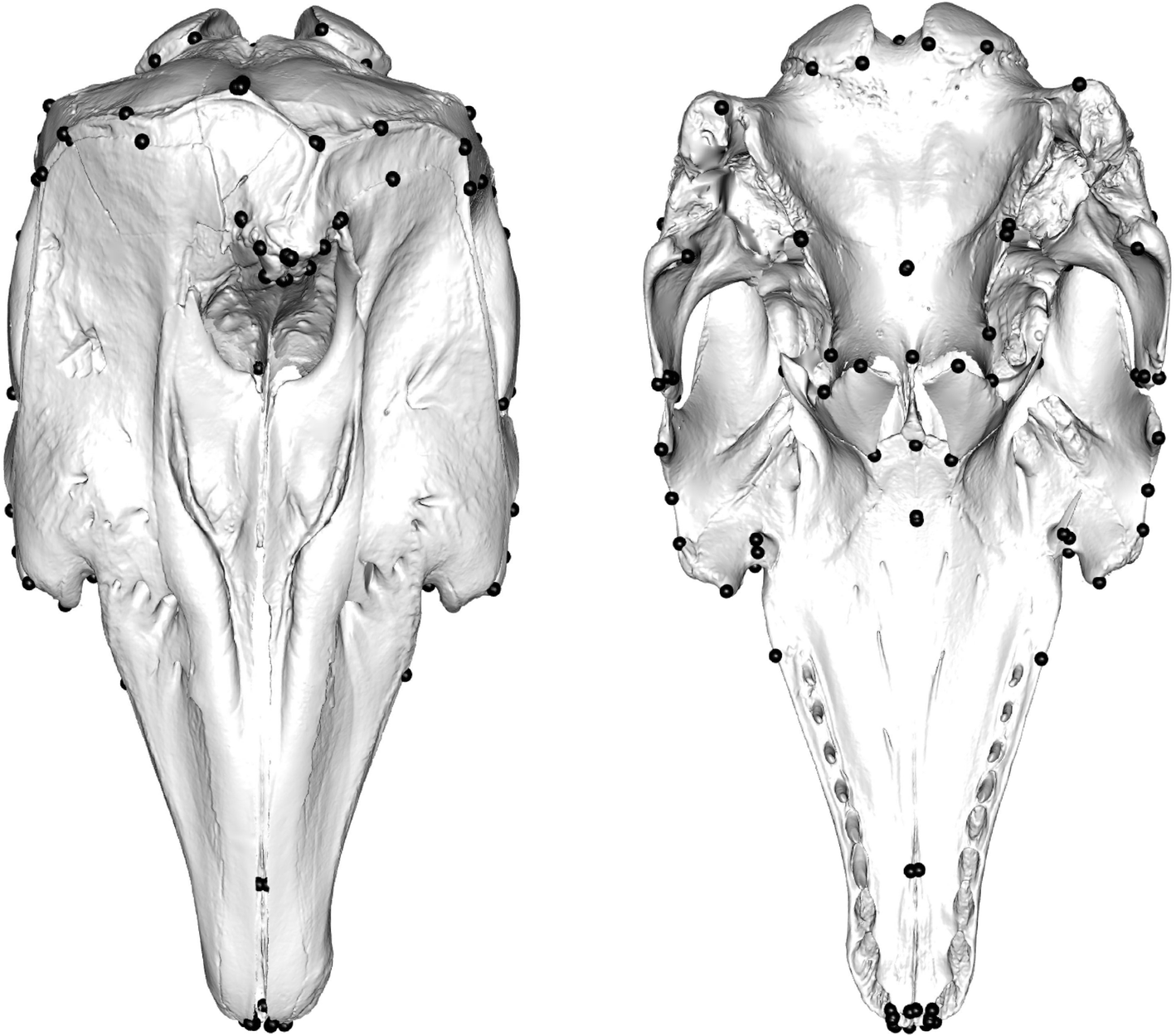 Fig. 7.