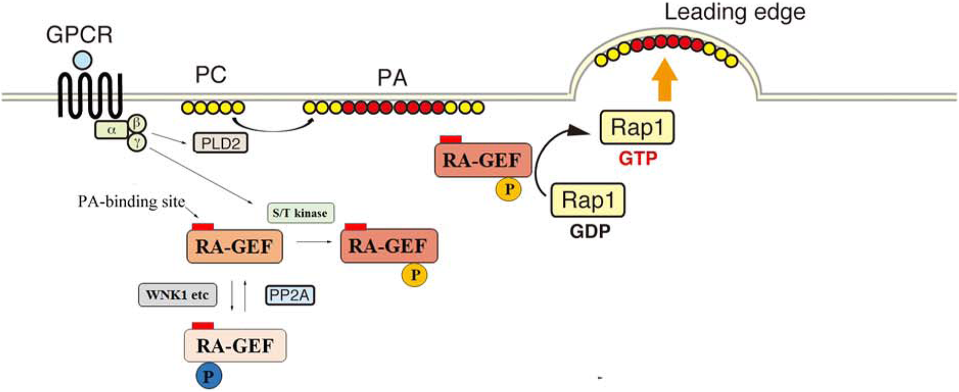 Fig. 9