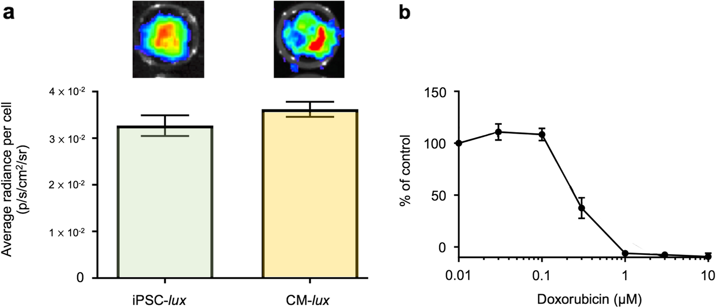 Fig. 3.