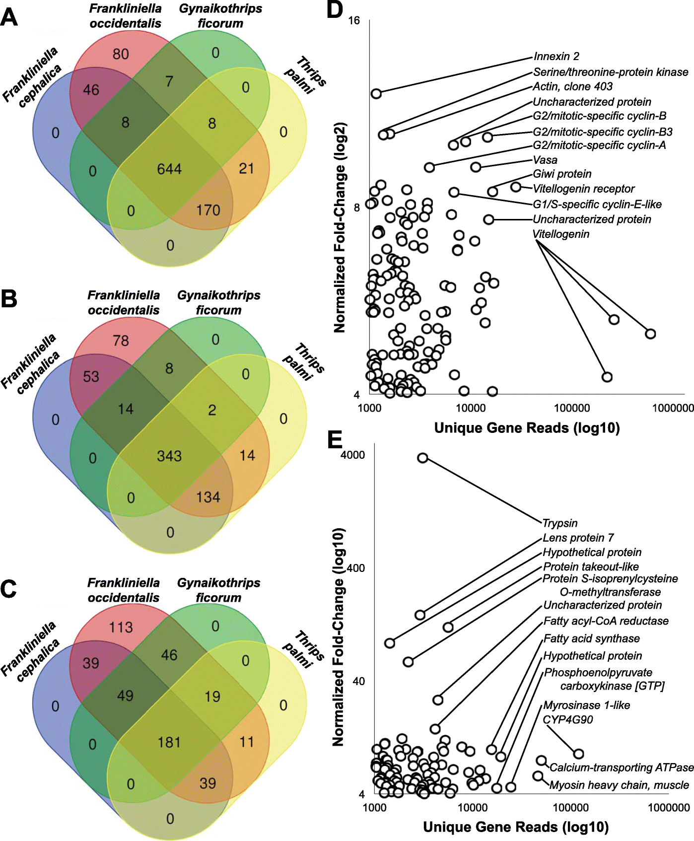 Fig. 7