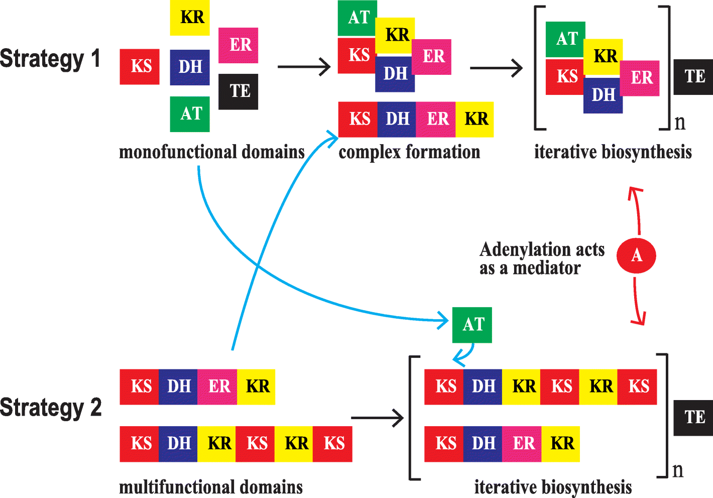 Fig. 5