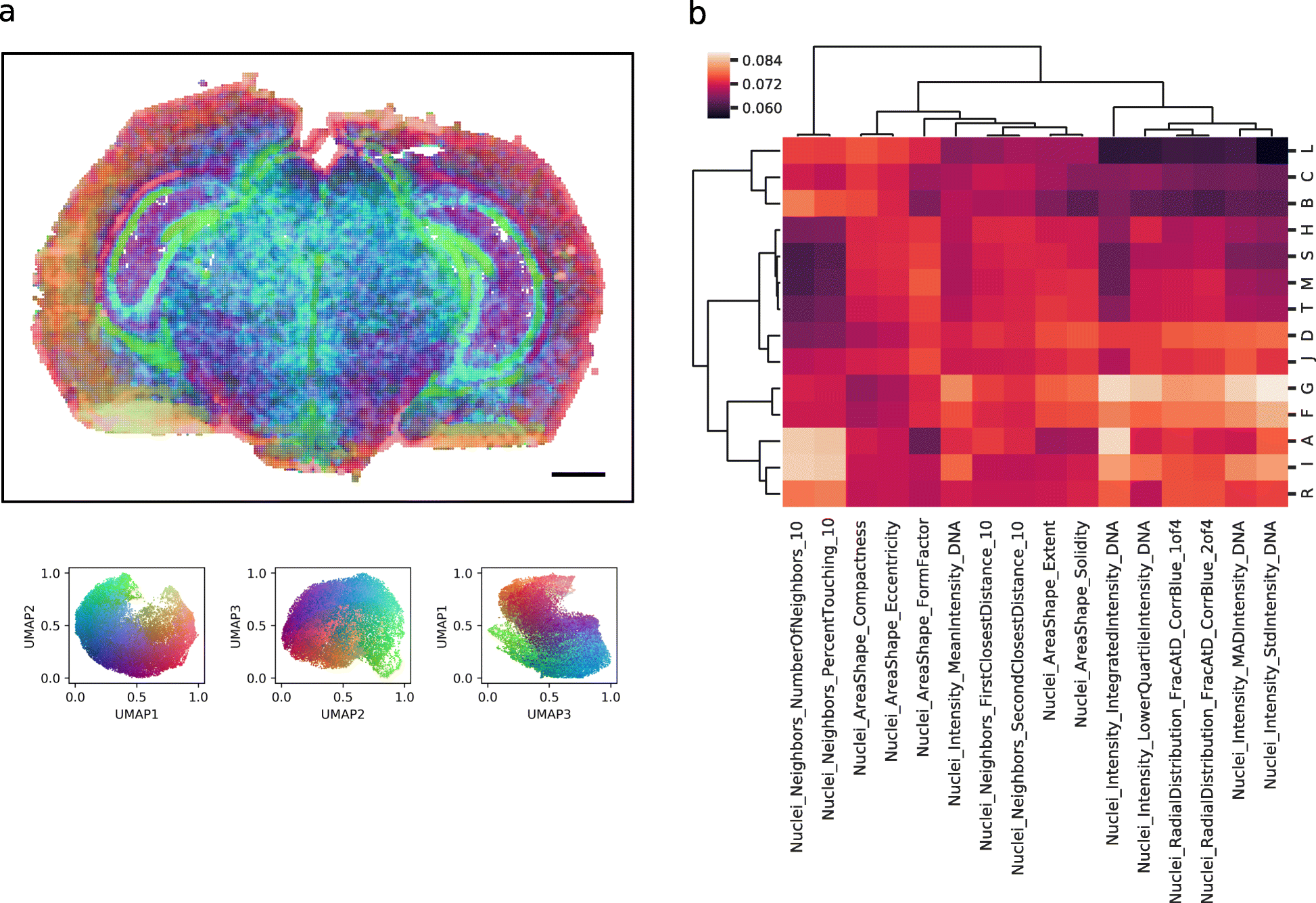 Fig. 6