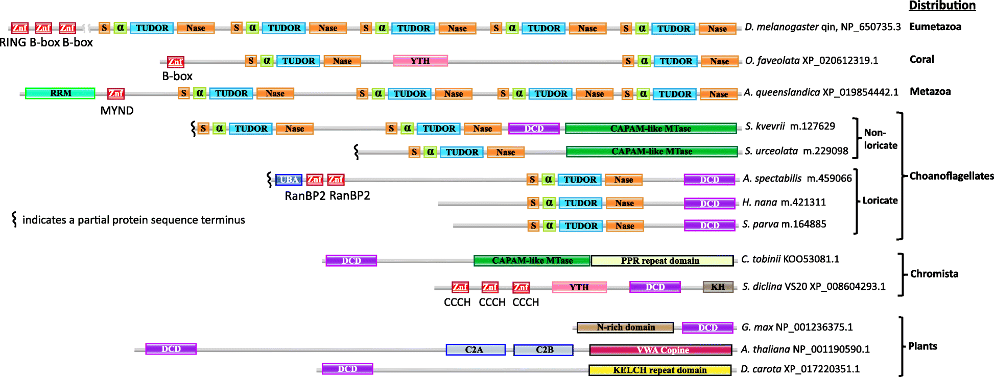 Fig. 13