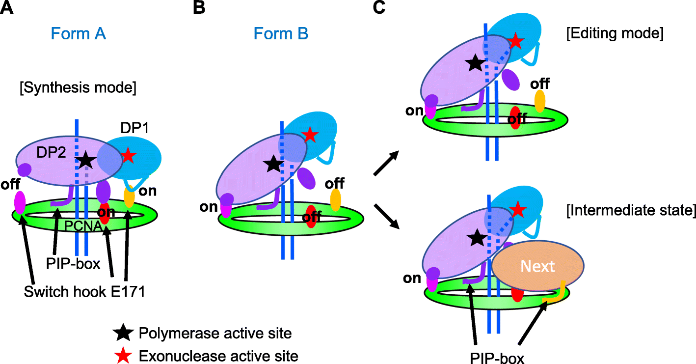 Fig. 10