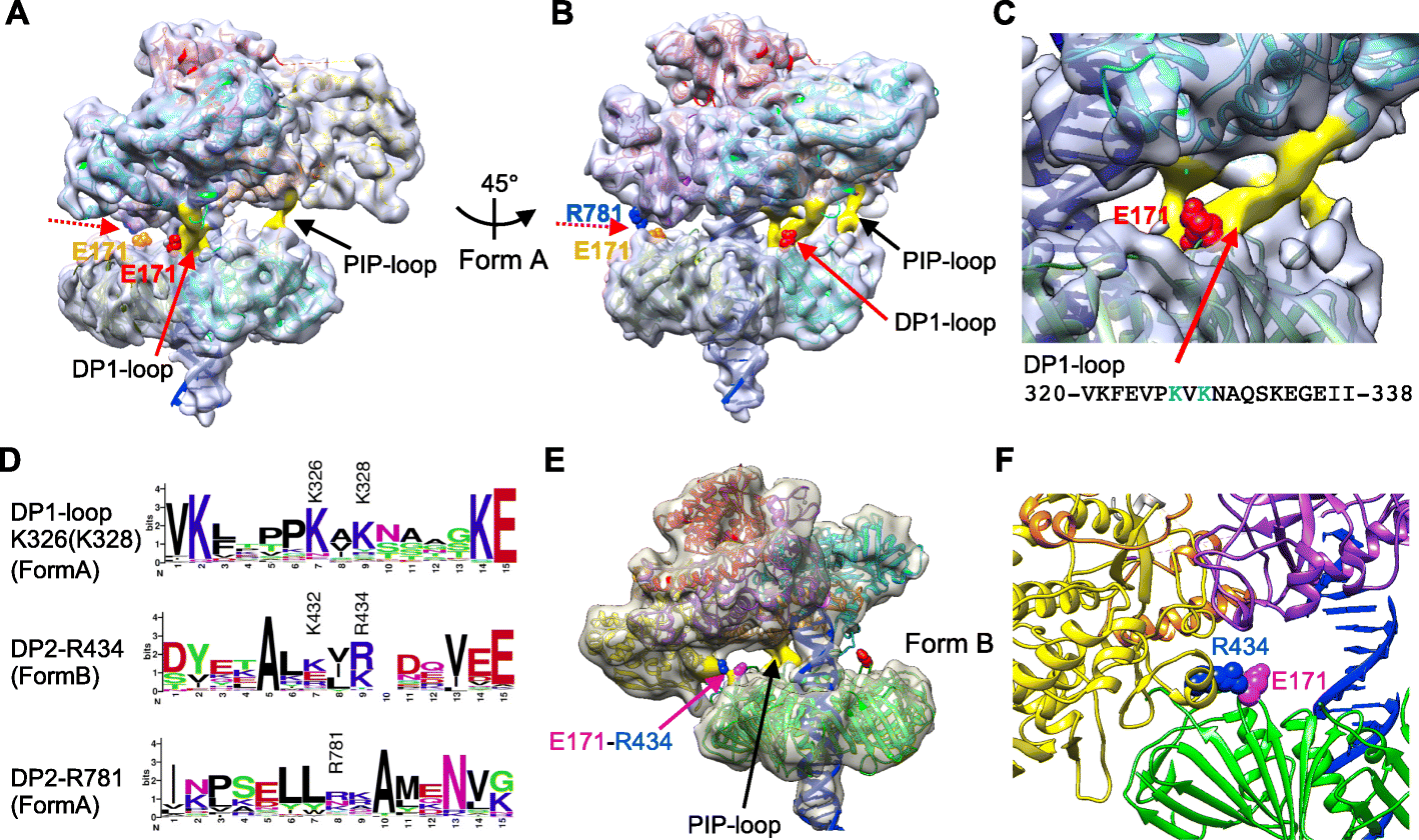 Fig. 5