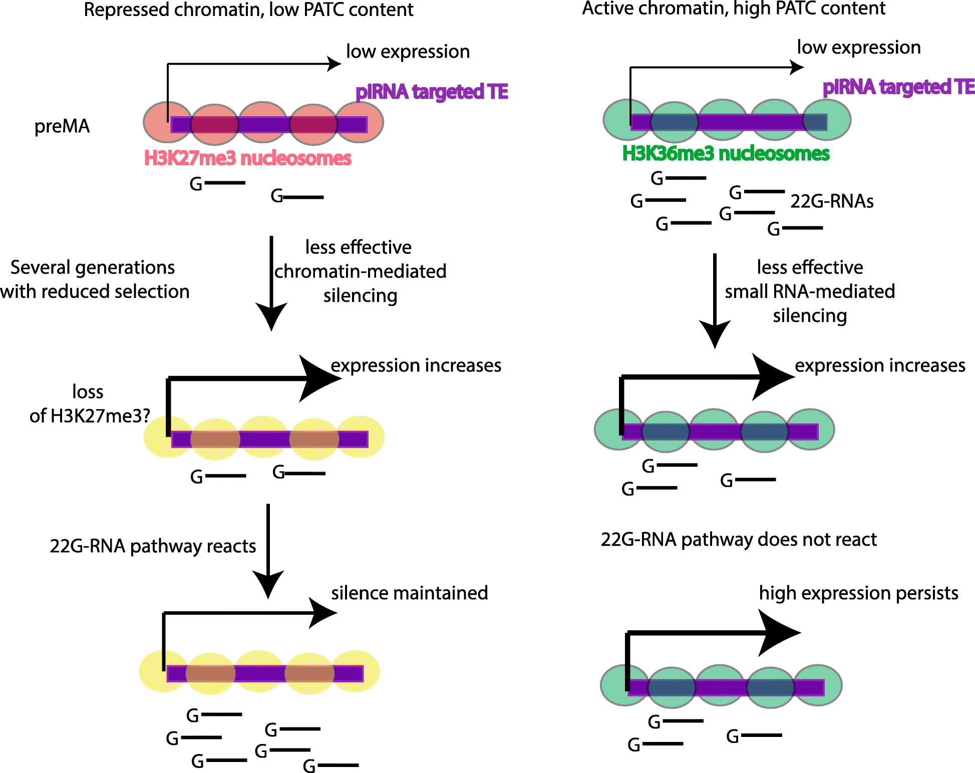 Fig. 8