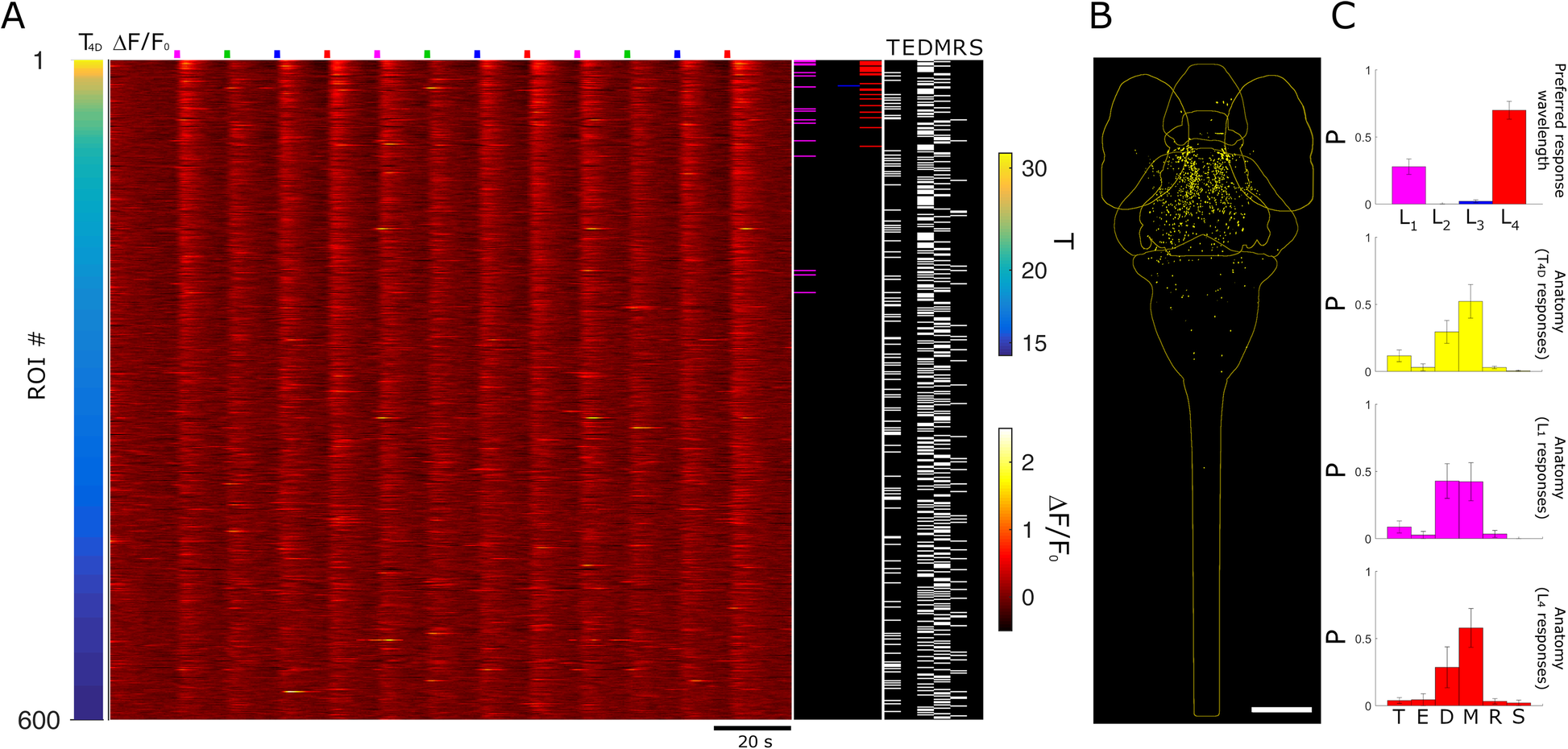 Fig. 6.