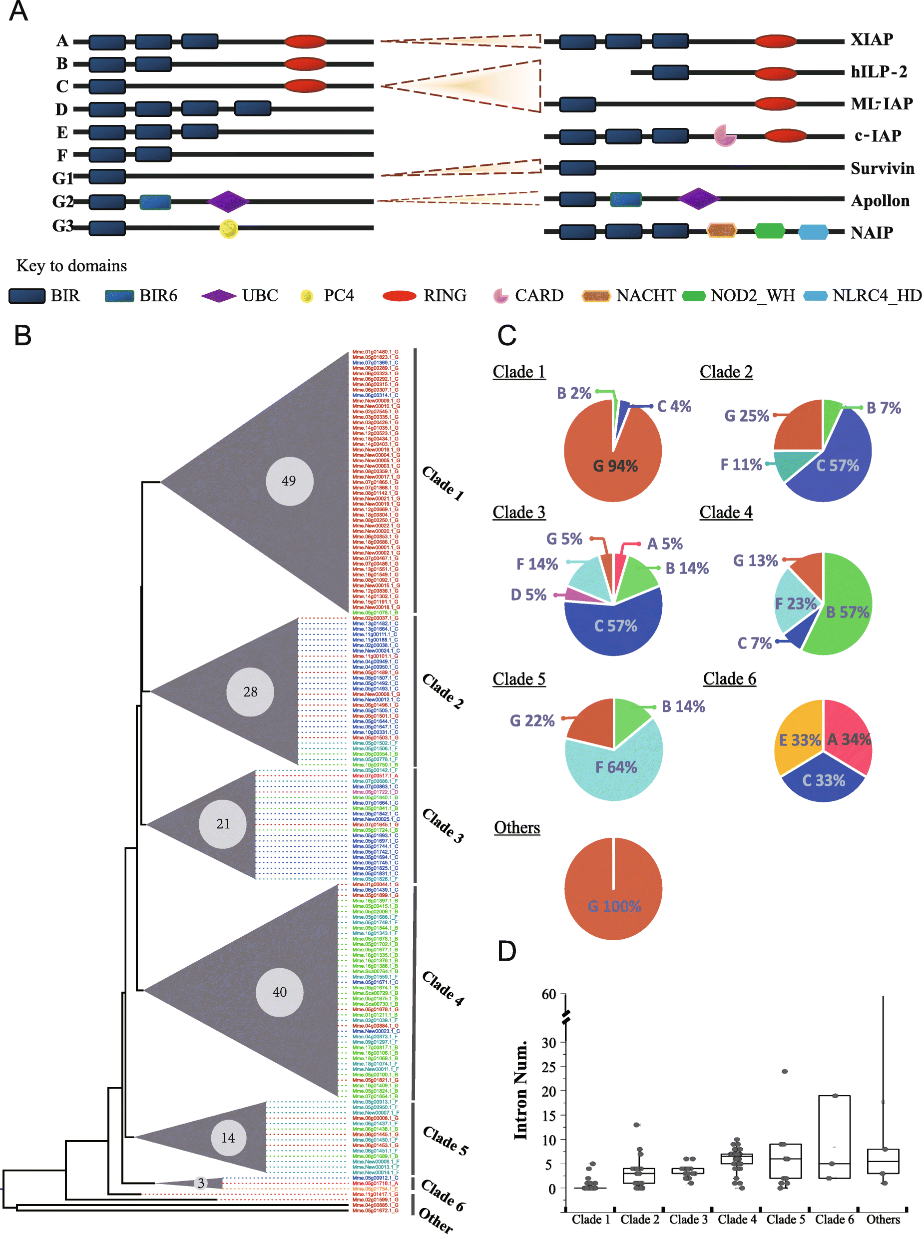 Fig. 4