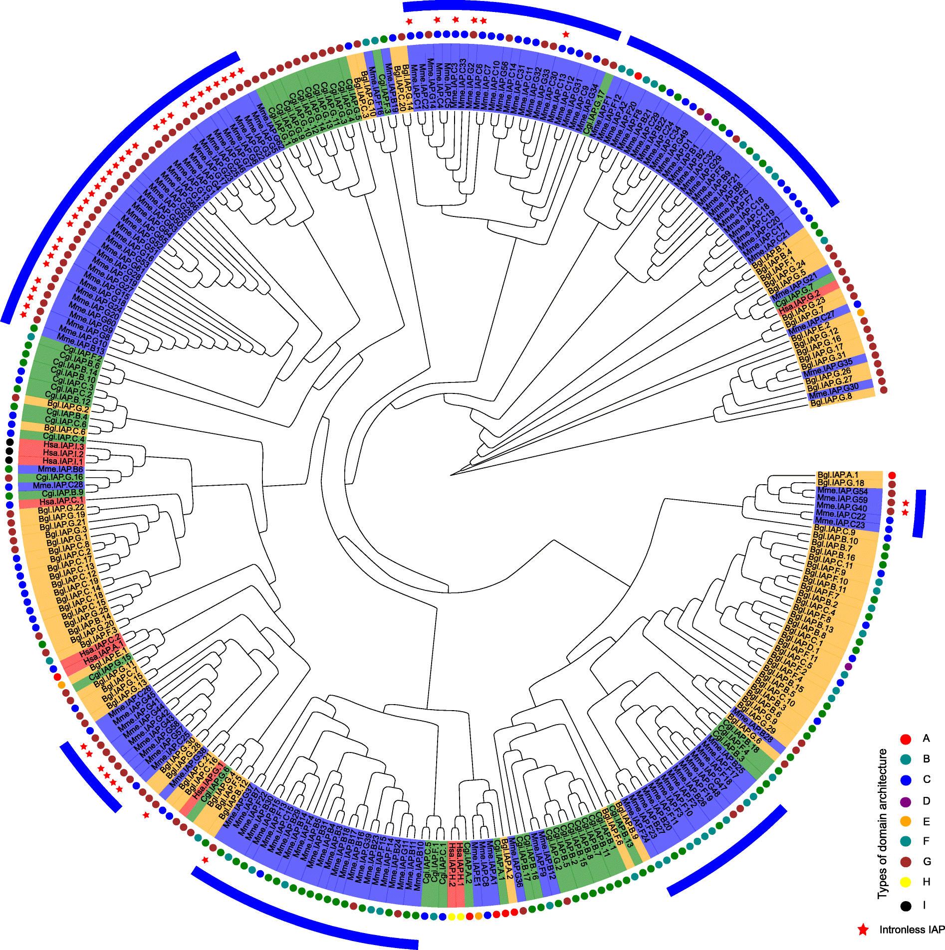 Fig. 8