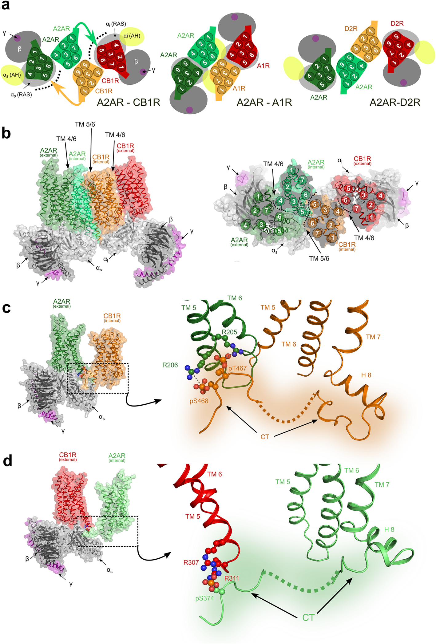 Fig. 3