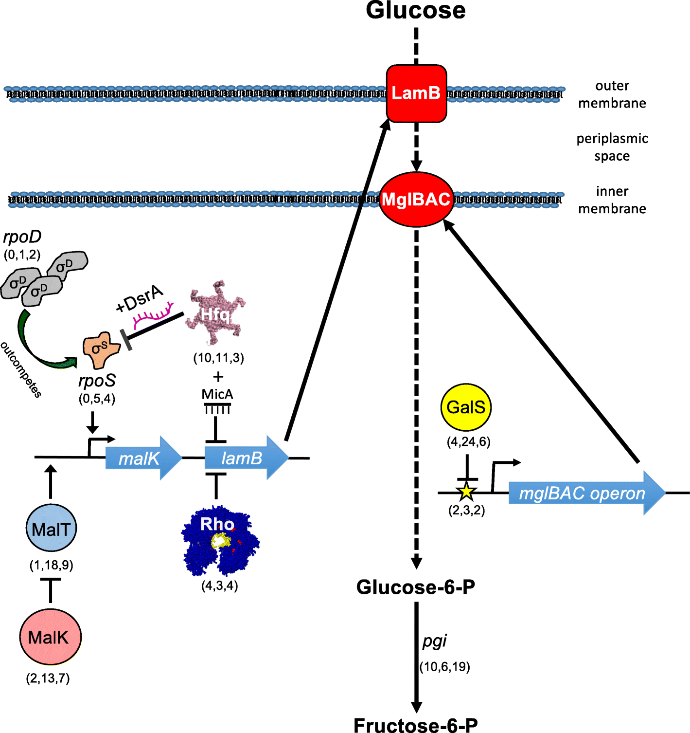 Fig. 4