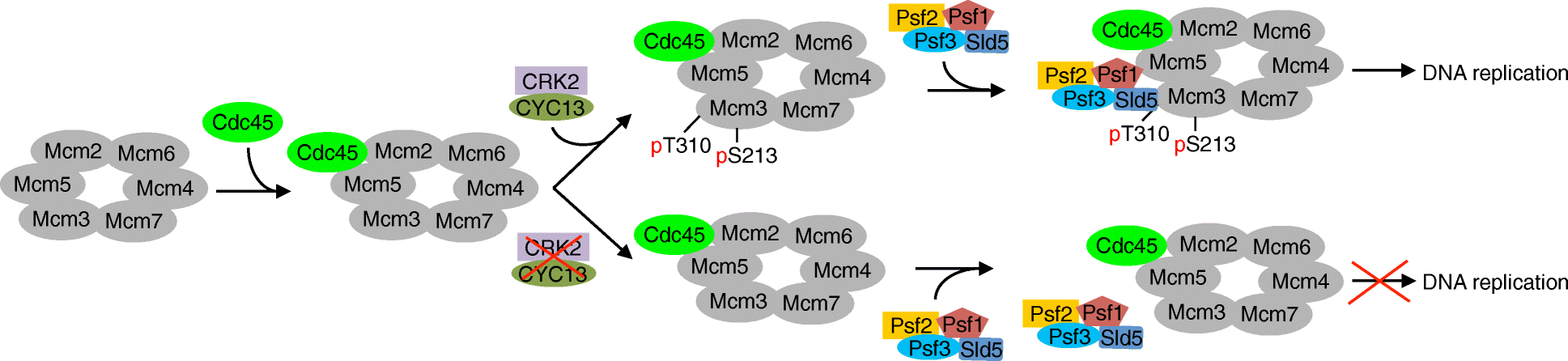 Fig. 7