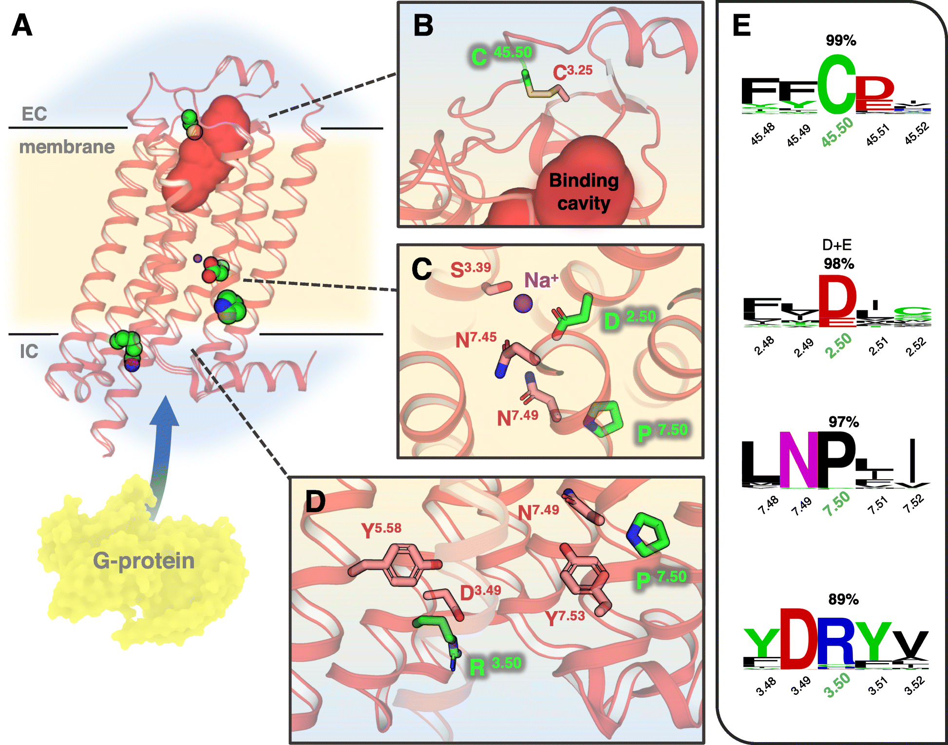 Fig. 8