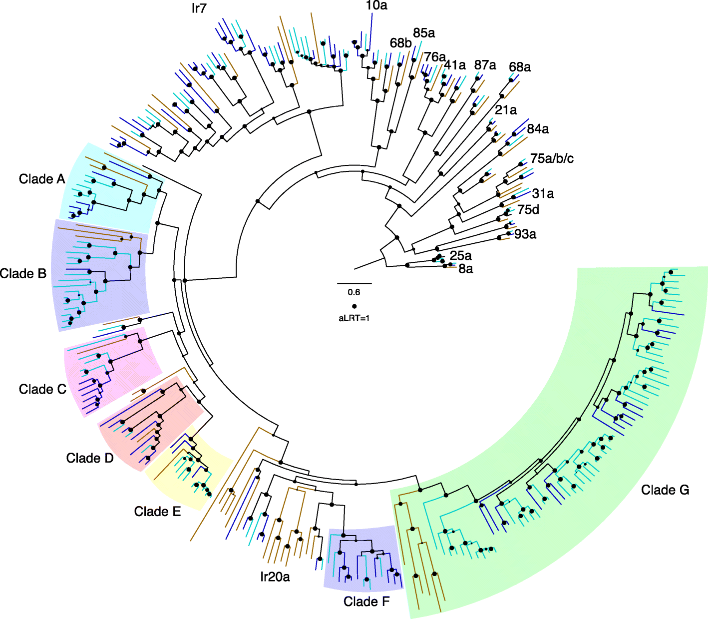 Fig. 4