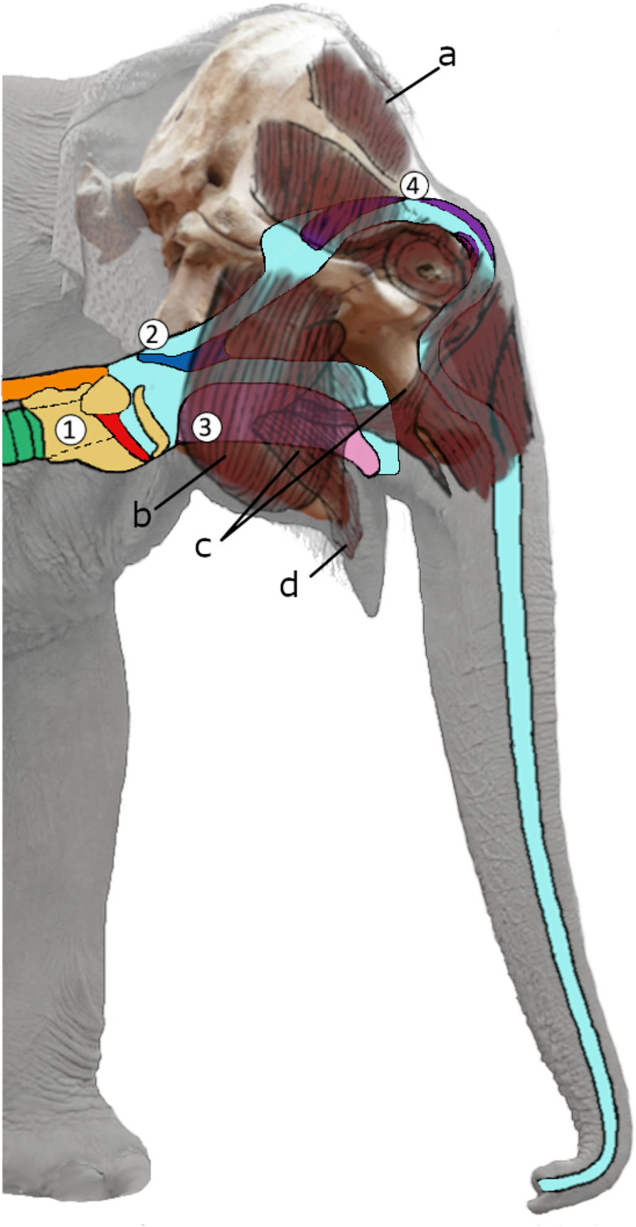 Fig. 1