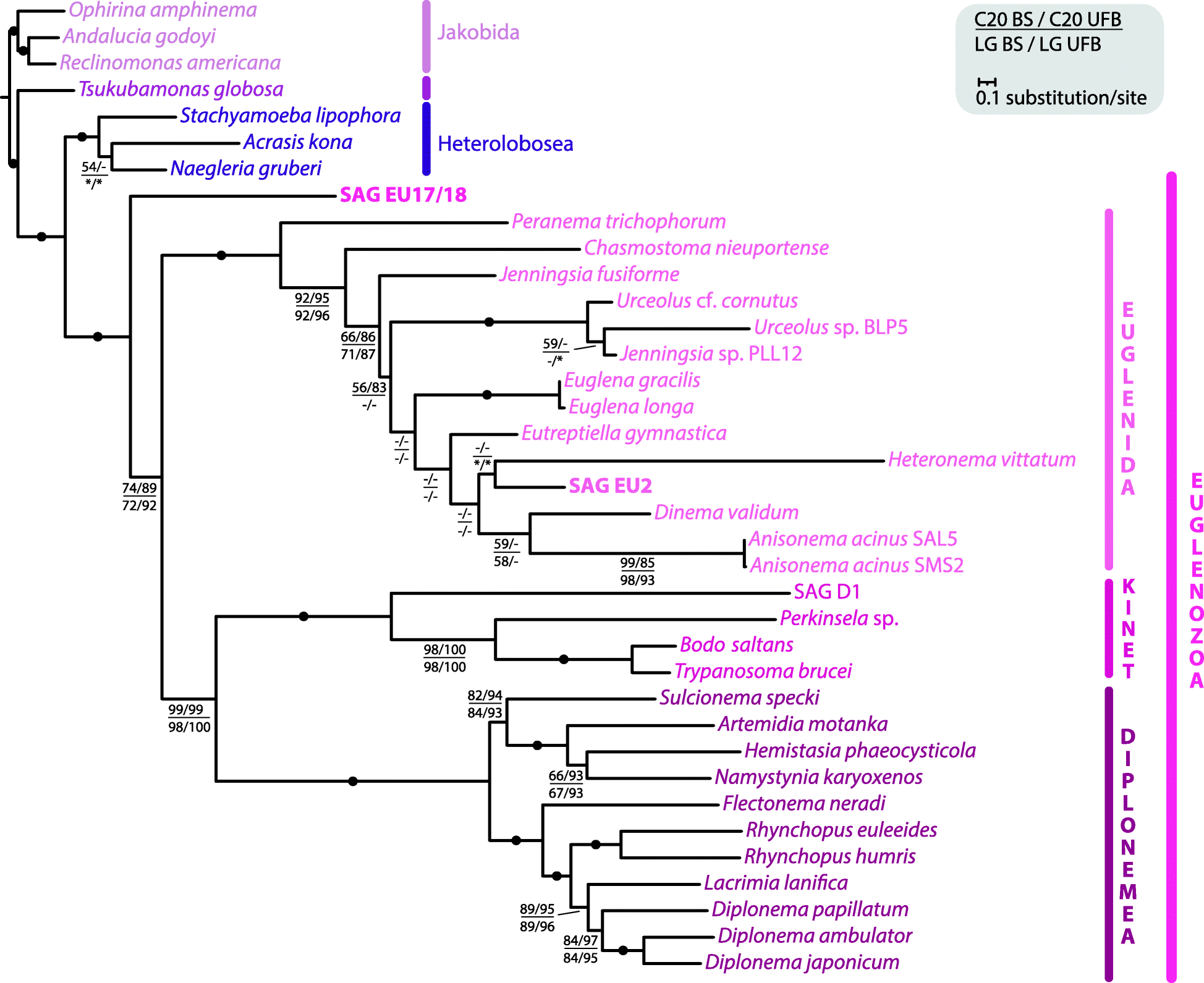 Fig. 4