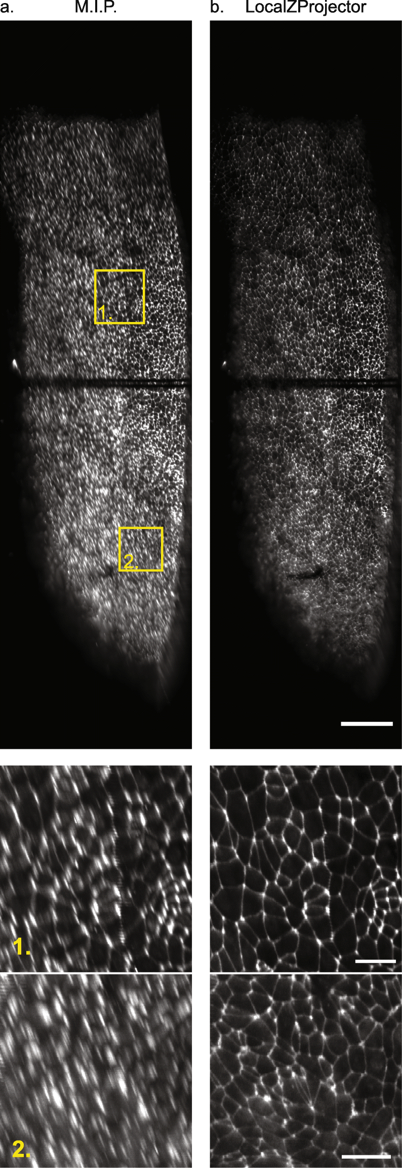 Fig. 4.