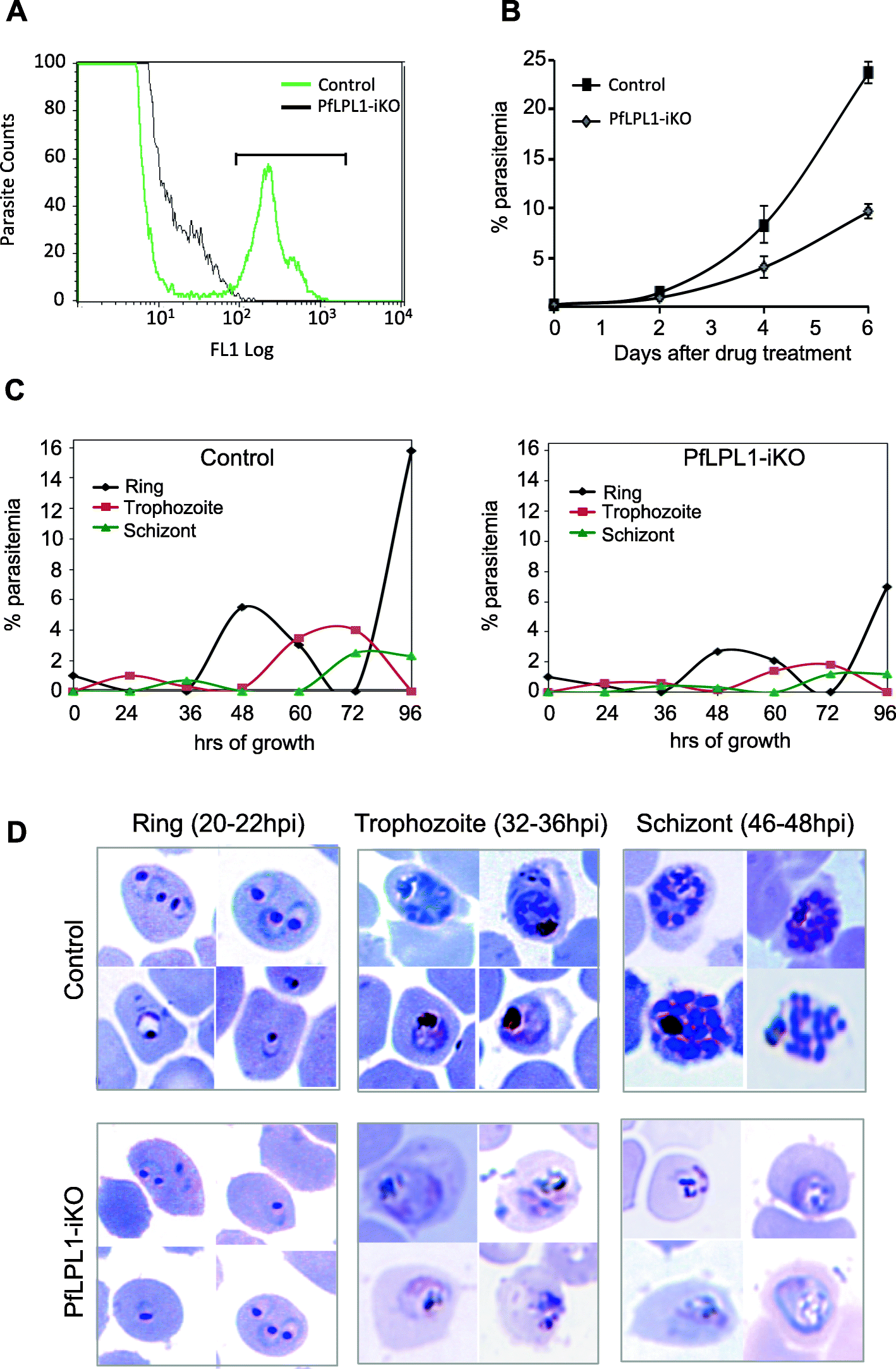 Fig. 5