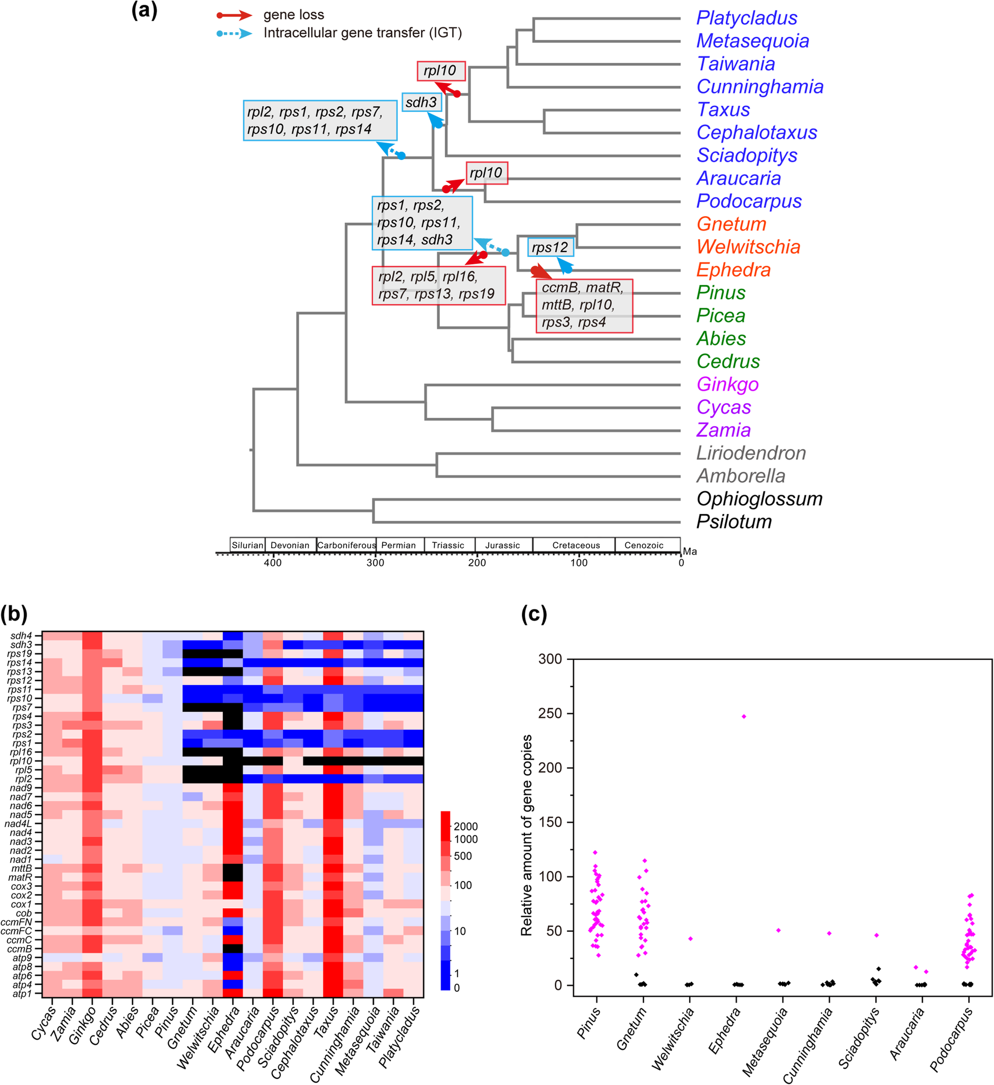 Fig. 1