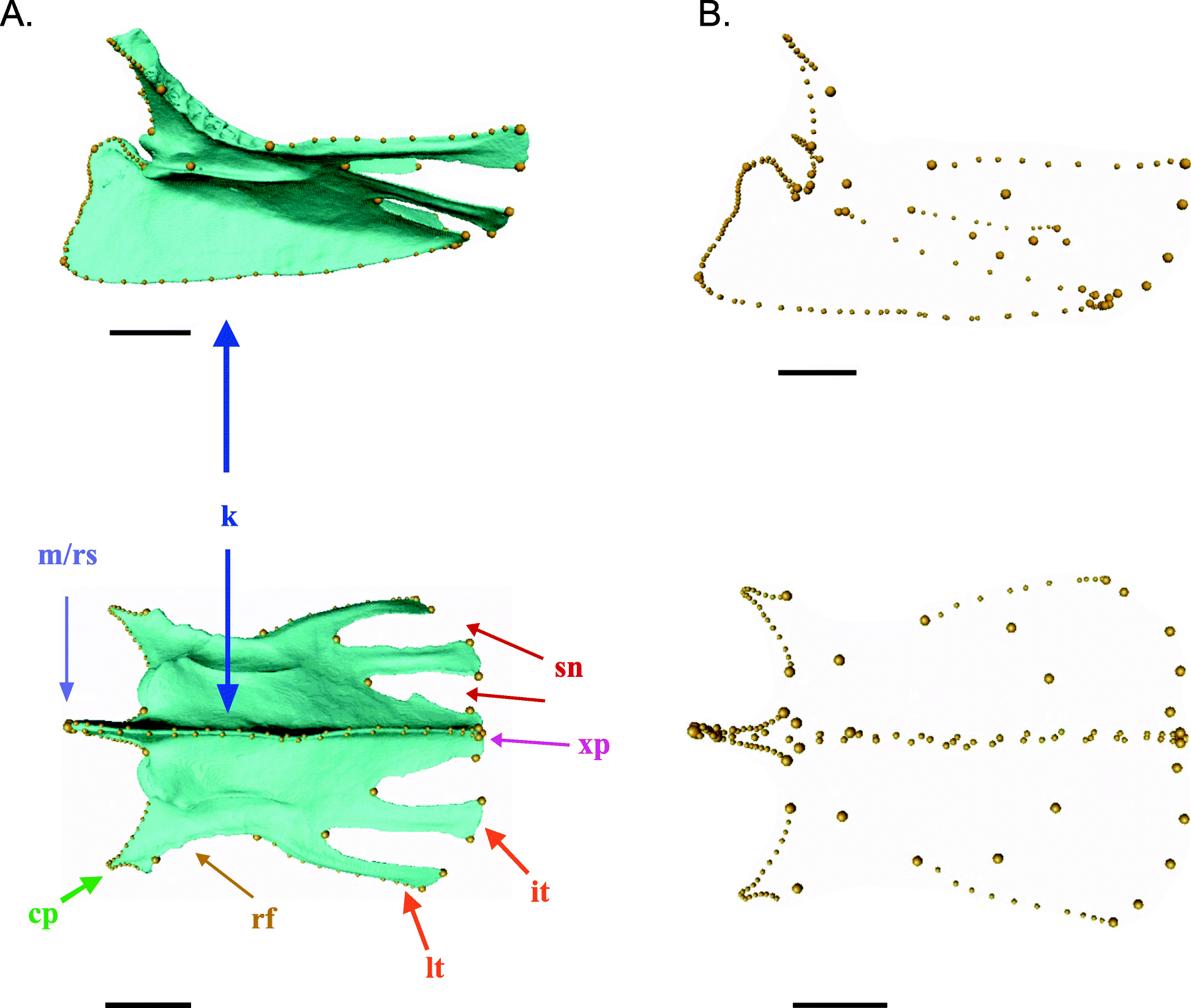 Fig. 12