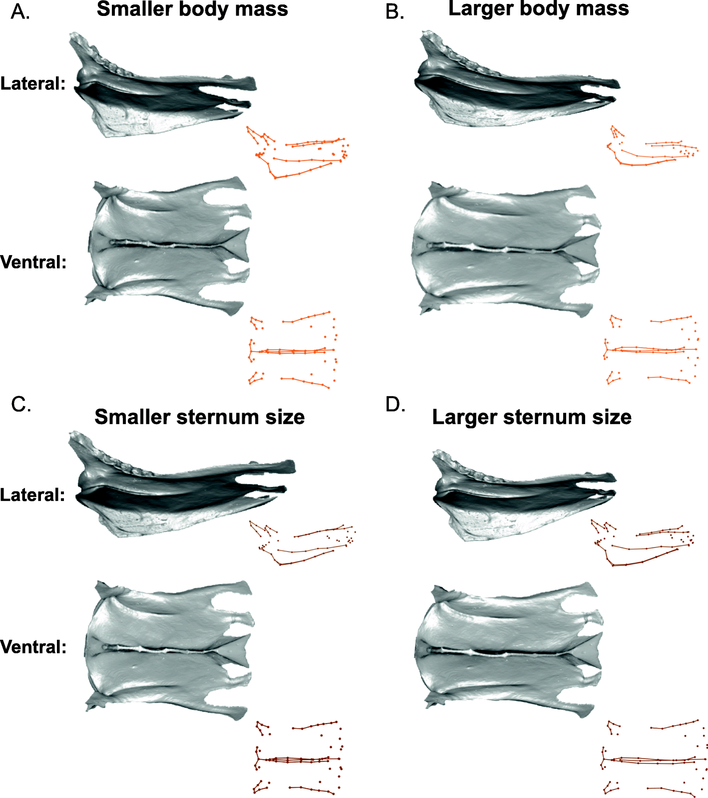 Fig. 7