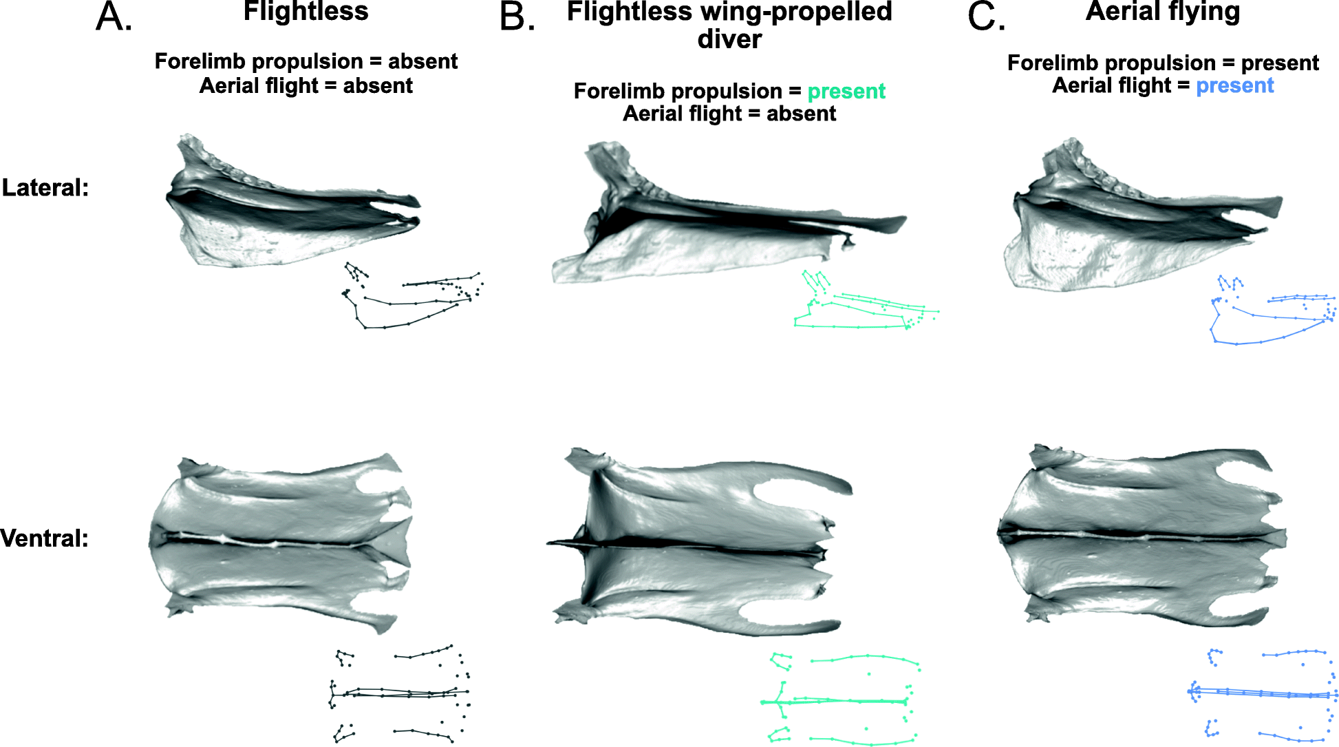 Fig. 8